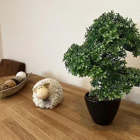 Seemoewe Lilli By Interhome